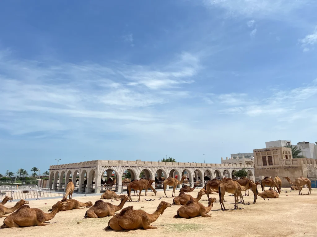 Best places to visit in Qatar Al wakrah